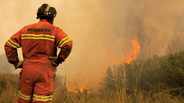 New forest fire planning system launched