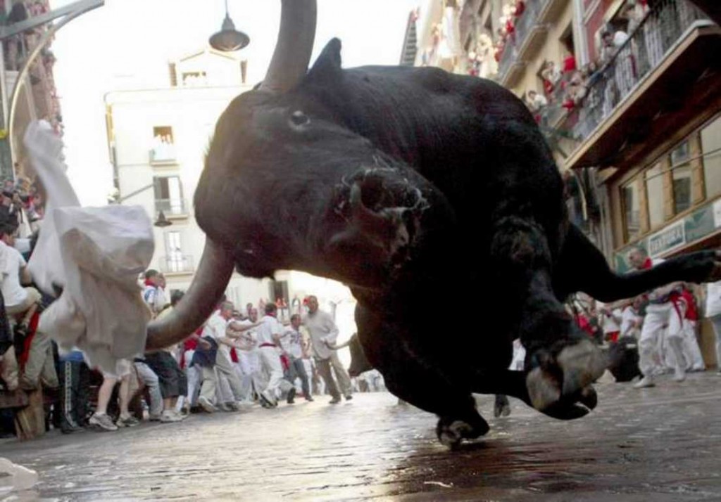 Killing of bulls banned in Castilla y León