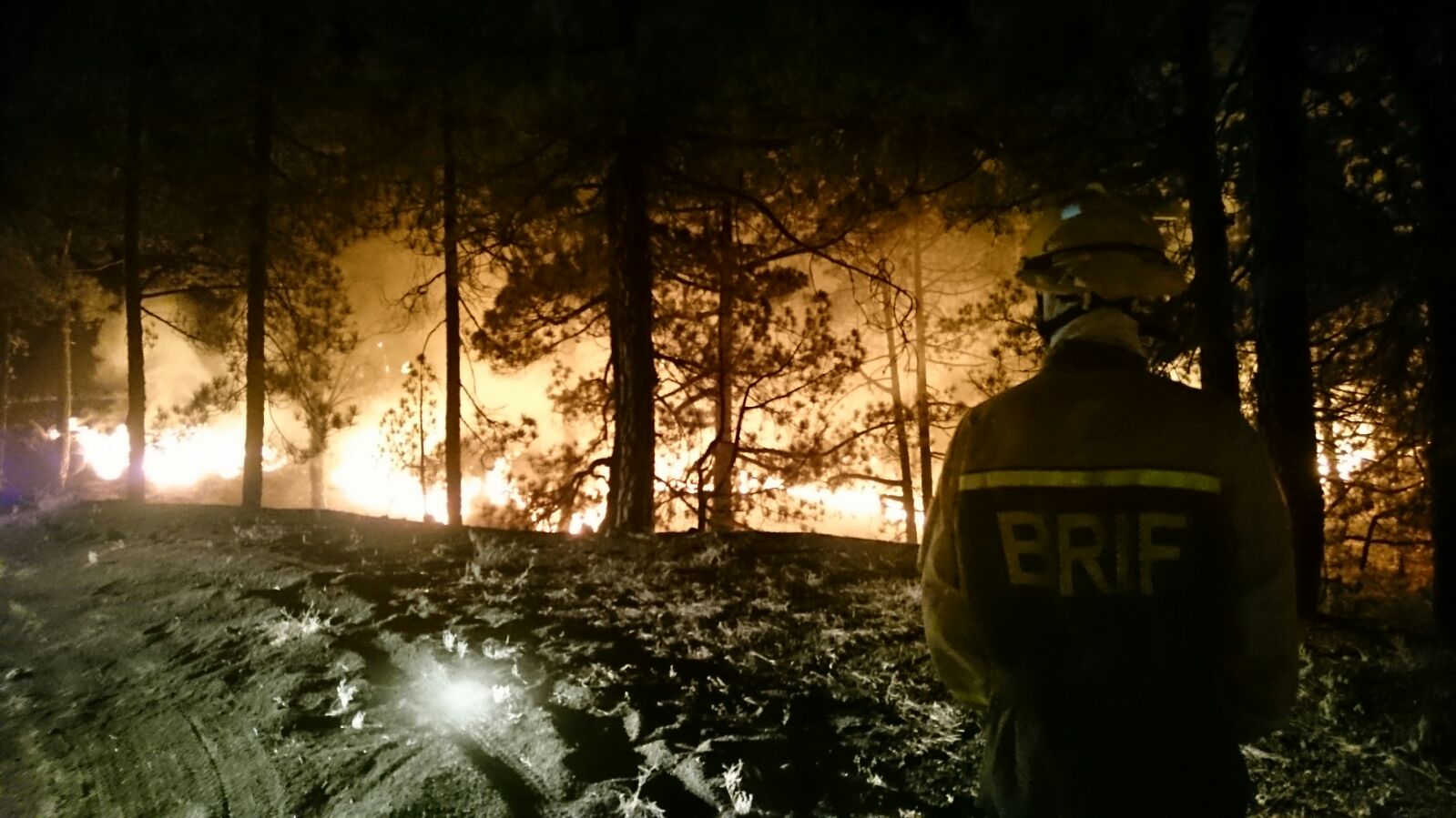 Work continues to fight La Palma wildfire