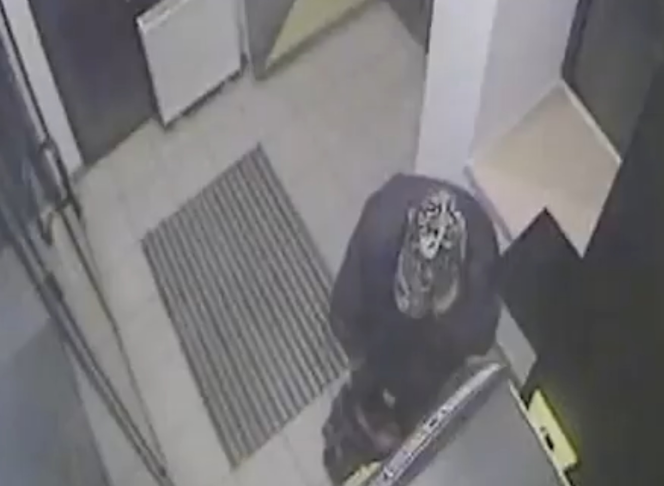 VIDEO: Cyber-criminal who stole nearly €1bn arrested in Spain