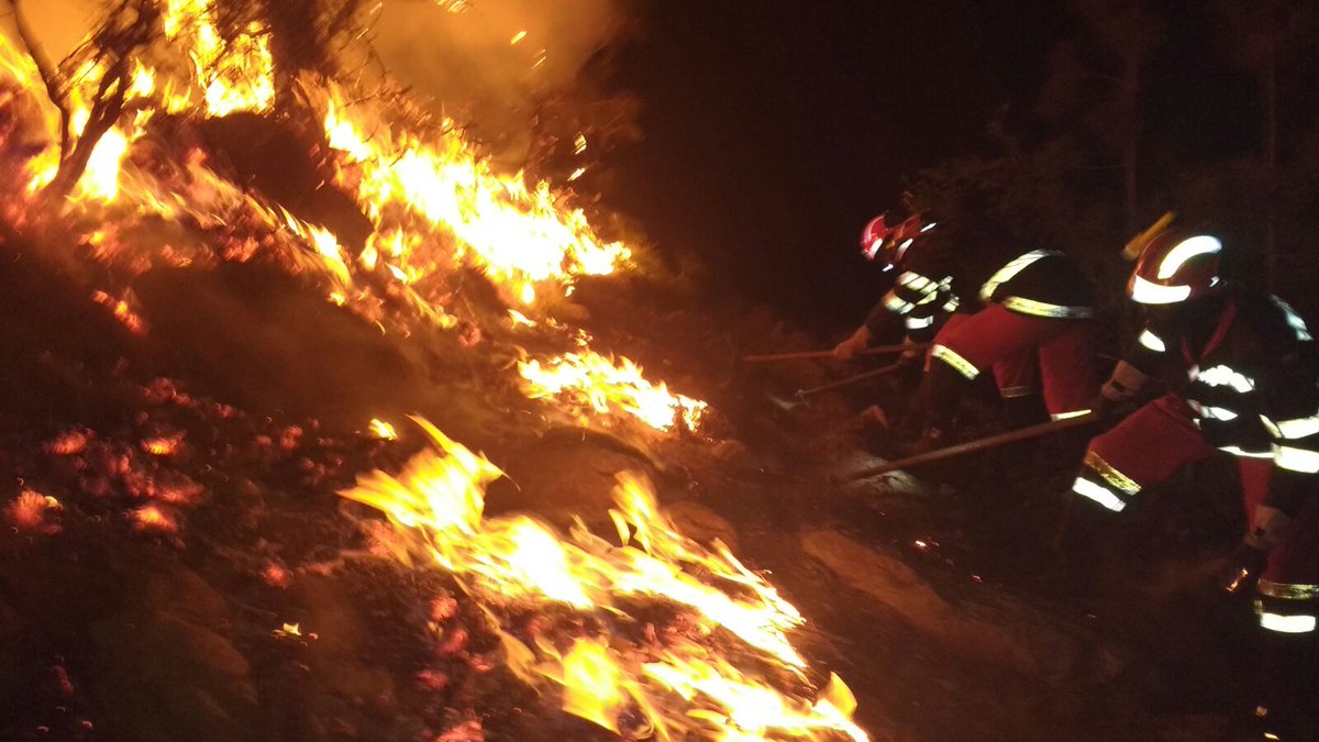 Tenerife forest fire stabilised after three days burning in Granadilla
