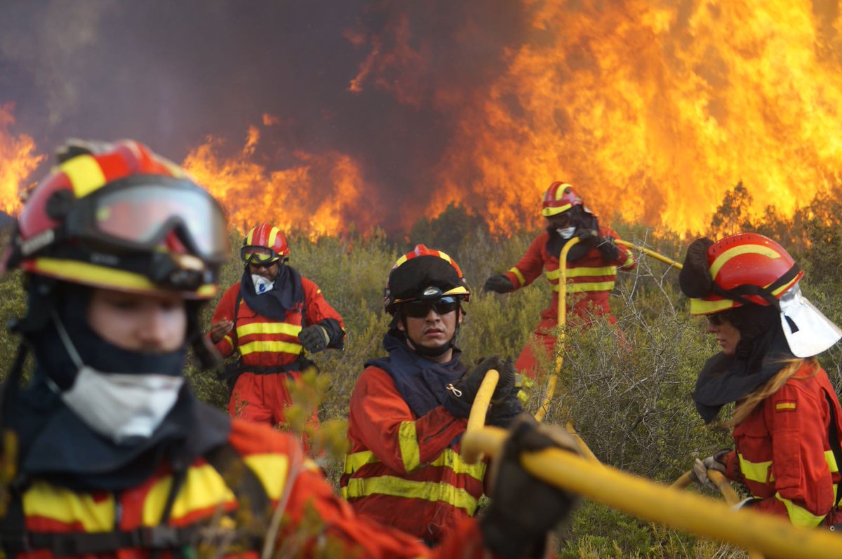 Forest Fires Report Confirms Significant Decrease in Incidents this Year