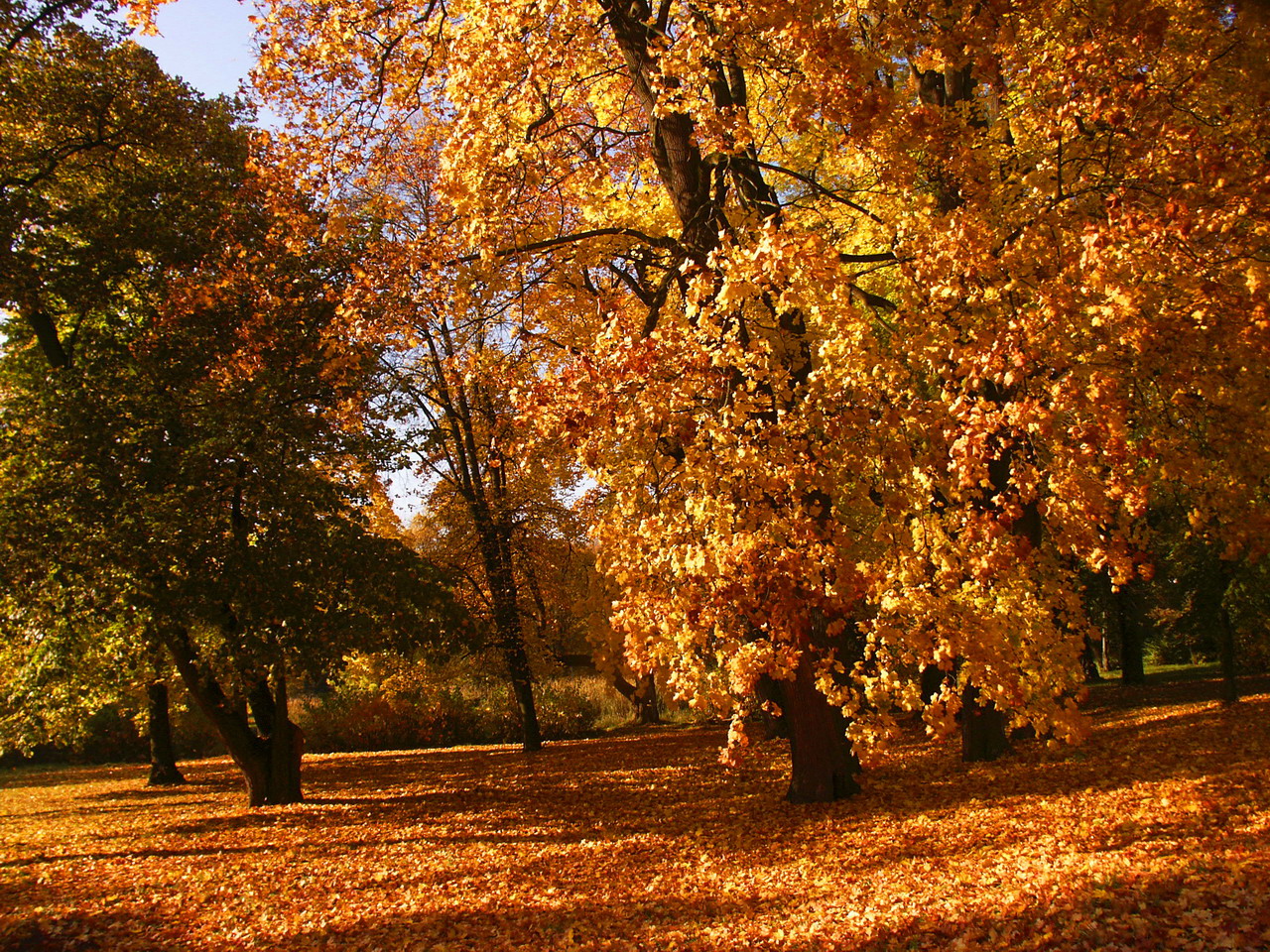 Autumn looks set to be warmer than before
