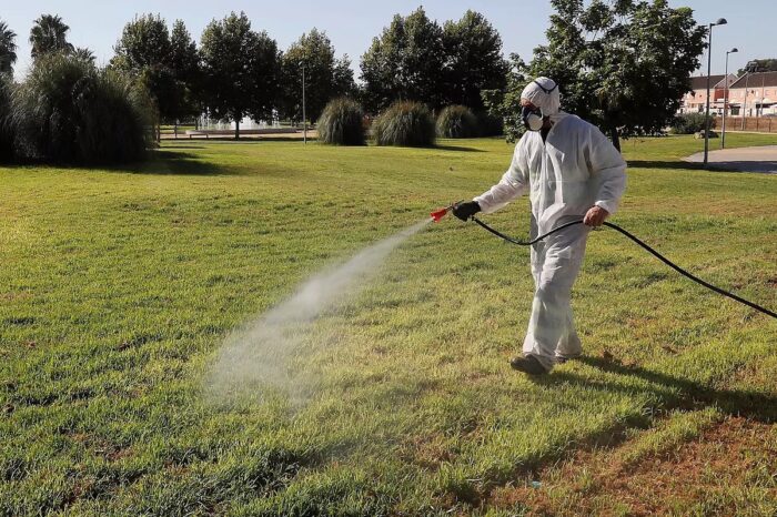 Two die and another infected with Nile Virus in Seville