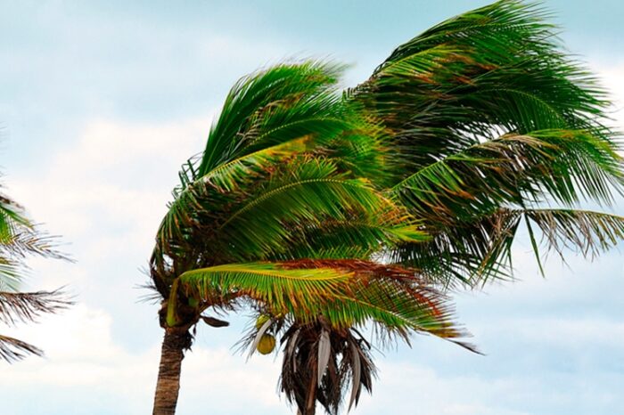 Storm force wind warning issued for Canaries