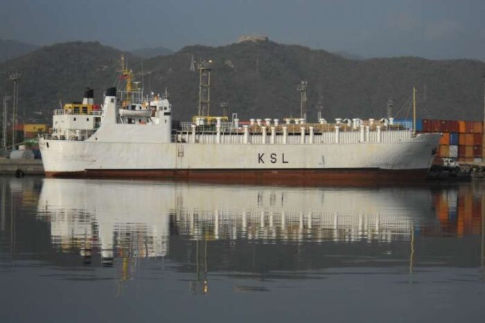 Over 850 cattle set to be slaughtered after being stranded on livestock ship