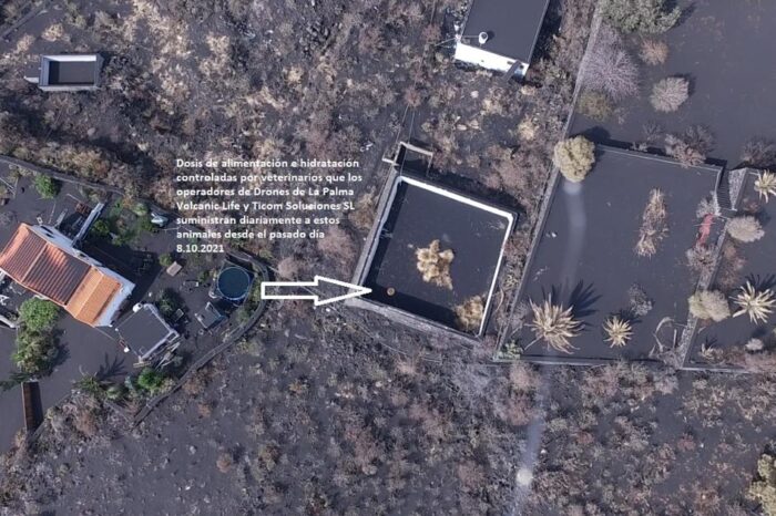 Drones to attempt to rescue stranded dogs on La Palma