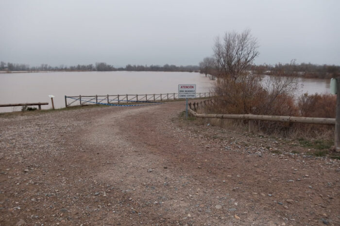 Zaragoza suffers mild flooding after Ebro reaches peak