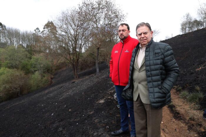 Act of "environmental terrorism" investigated after spate of wildfires