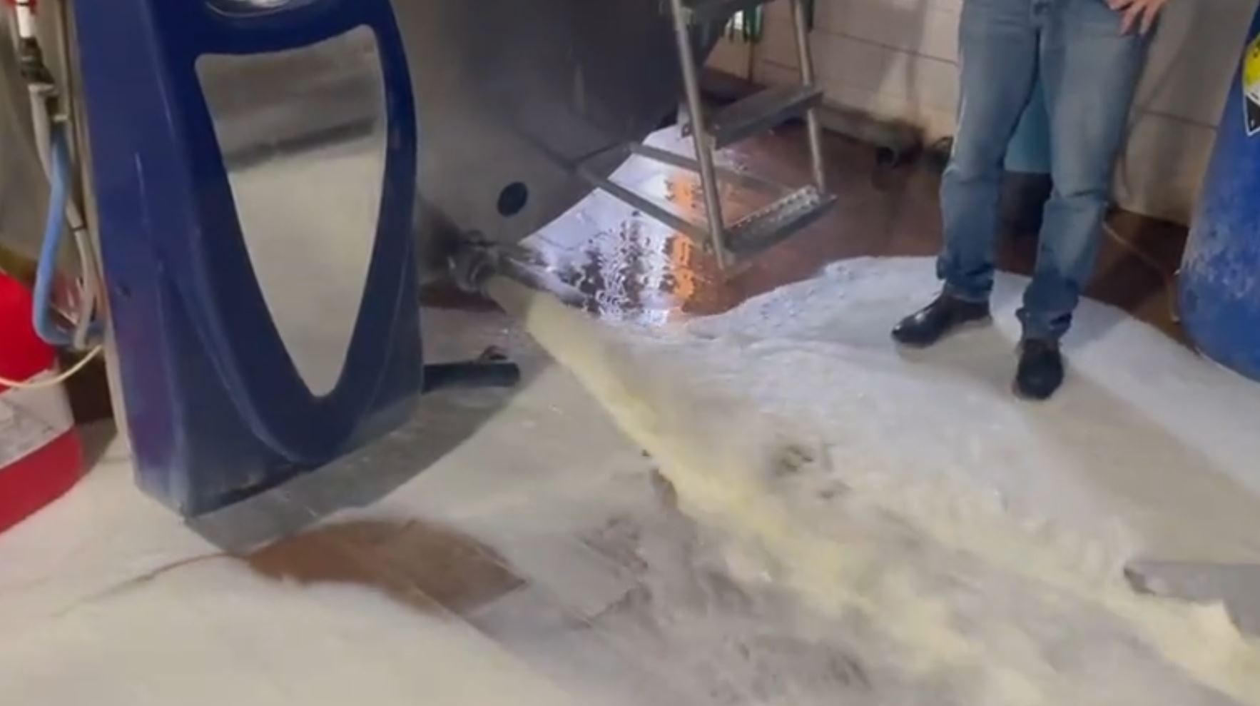 Devolve Milk Farmers discard thousands of litres of milk in protest