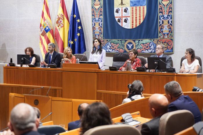 Aragon parliamentary speaker closes social media accounts over conspiracy theories