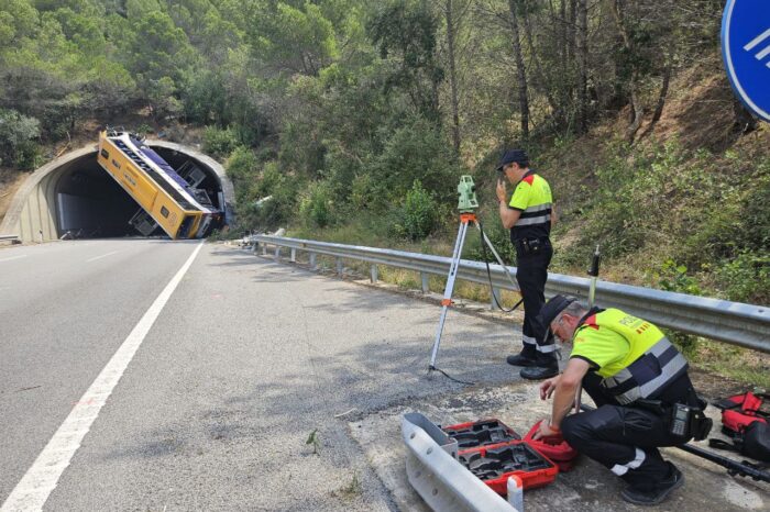 Investigators believe bus crash driver was asleep at the wheel