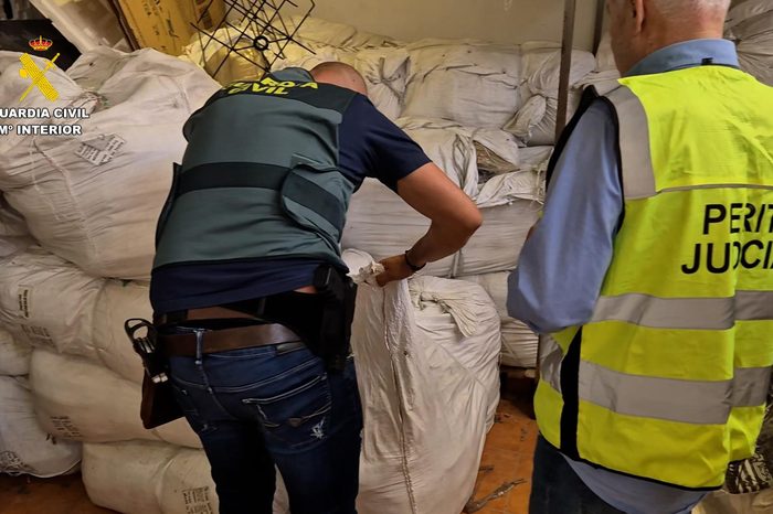 Clandestine Workshop With 70,000 Fake Clothing Items Worth €7 Million Dismantled in Tenerife